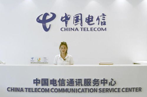 優(yōu)質(zhì)網(wǎng)絡(luò)與科技體驗(yàn) 中國(guó)電信為大運(yùn)村提供綜合智能信息服務(wù)
